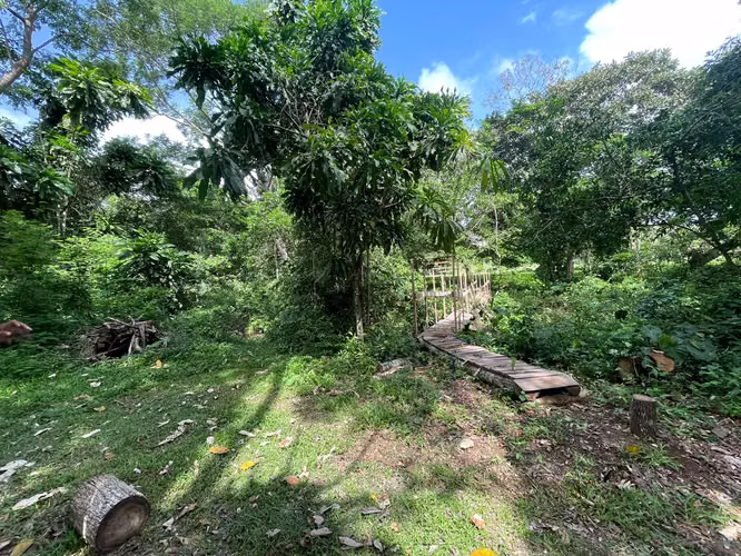 SE VENDE CASA+FINCA 9.8HA C/RIO CAIMITO CHORRERA – AGRO - Imagen 9