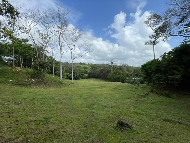 SE VENDE CASA+FINCA 9.8HA C/RIO CAIMITO CHORRERA – AGRO - Imagen 10