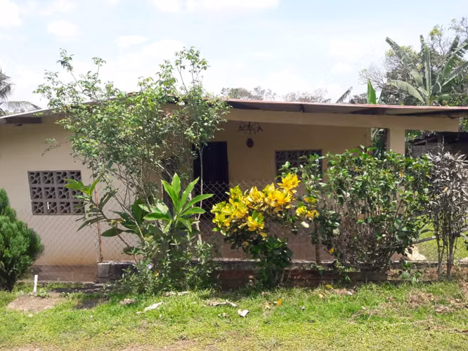 SE VENDE CASA+FINCA 9.8HA C/RIO CAIMITO CHORRERA – AGRO - Imagen 4