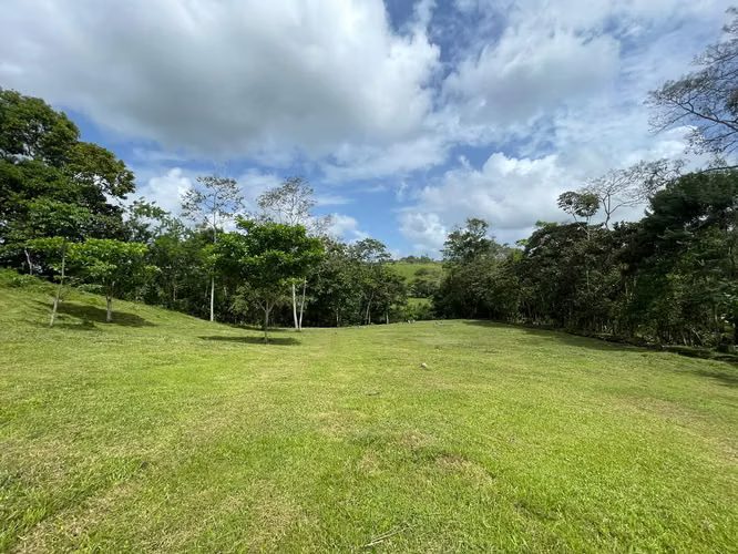 SE VENDE CASA+FINCA 9.8HA C/RIO CAIMITO CHORRERA – AGRO - Imagen 16