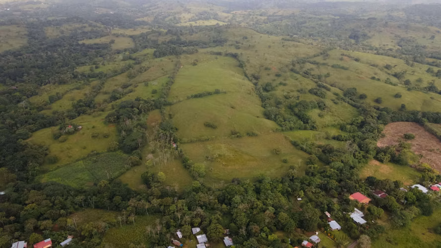 SE VENDE CASA+FINCA 9.8HA C/RIO CAIMITO CHORRERA – AGRO - Imagen 20