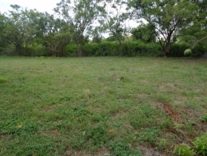 VENDO TERRENO EN CHAME, NUEVA GORGONA A 200 MTS DEL MAR (2)