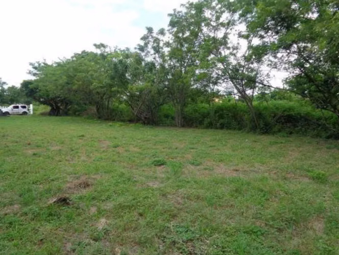 VENDO TERRENO EN CHAME, NUEVA GORGONA A 200 MTS DEL MAR (2)