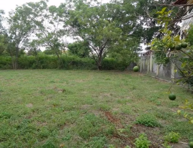VENDO TERRENO EN CHAME, NUEVA GORGONA A 200 MTS DEL MAR (2)