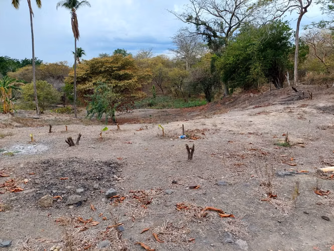 Venta de terreno cerca de PLAYA CORONA - Imagen 9