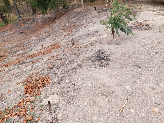 Venta de terreno cerca de PLAYA CORONA - Imagen 8