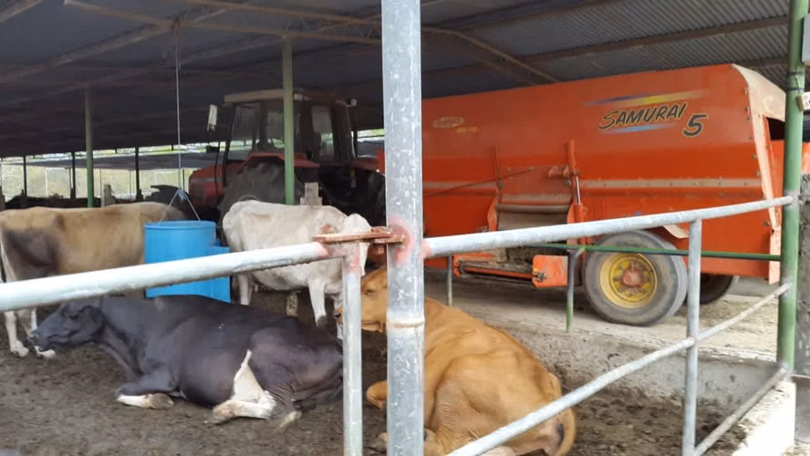 En venta Finca lechera La Arboleda, El Guayabal, Los Santos