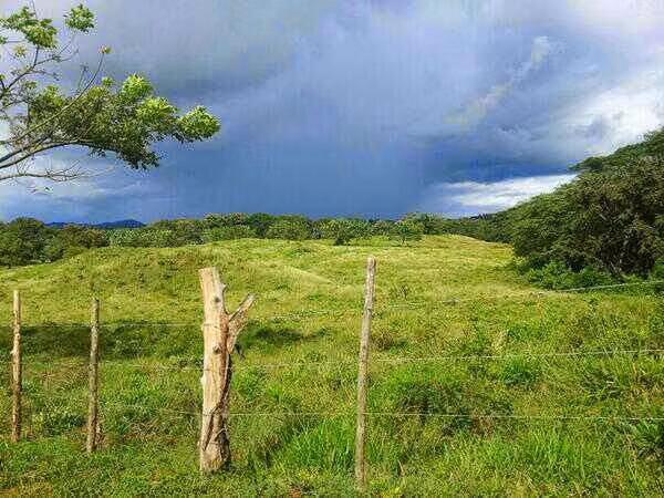 En venta Finca lechera La Arboleda, El Guayabal, Los Santos