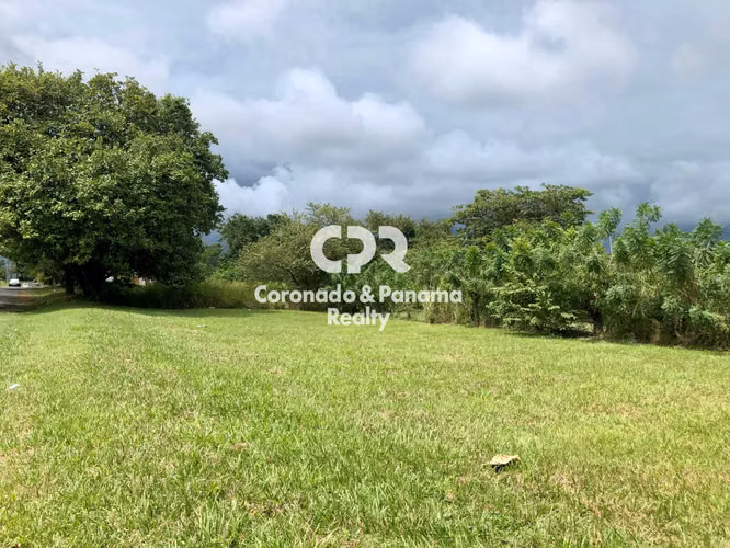 Venta de terreno en Coronado. - Imagen 4