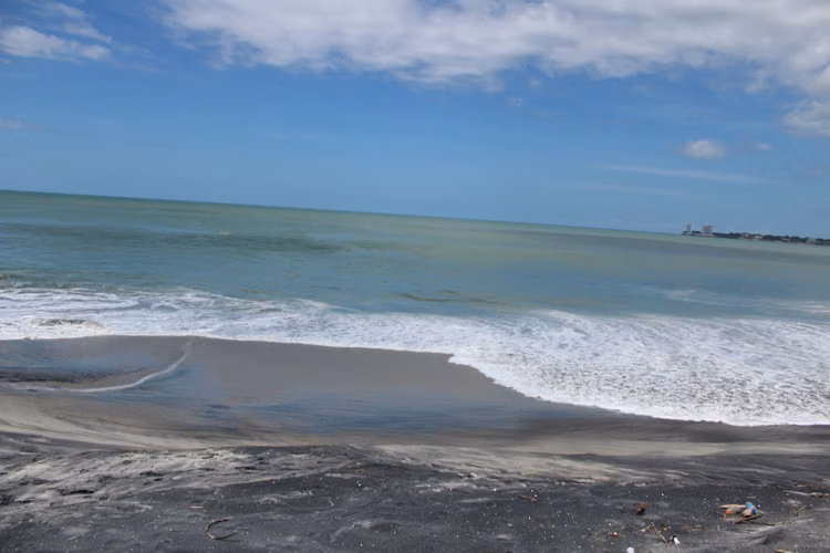 Casa frente al mar en Gorgona. - Imagen 13