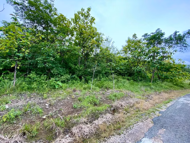 FINCA TERRENO PENONOMÉ EN VENTA