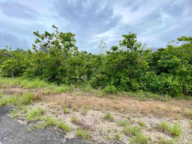 FINCA TERRENO PENONOMÉ EN VENTA