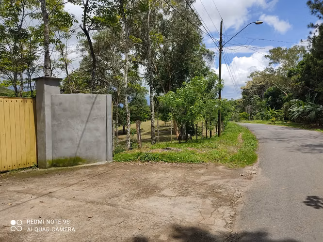 FARM OF 16.8 HECTARES IN THE PAJONAL OF PENONOME