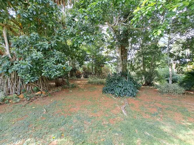 Casa en Complejo Cerrado en ambiente de finca en el mejor vecindario de Arraiján.