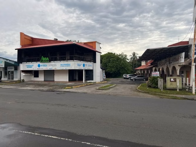 Terreno en Chiriqui, 9900 mts2 , David Ave. Red Gray