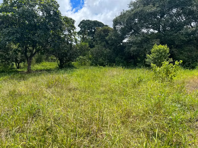 Terreno en Chiriqui, 5,482.58 mts2 en Dolega