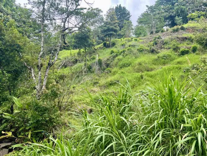 Terreno en Chiriqui, 5,237.85 mts2, Boquete, Jaramillo