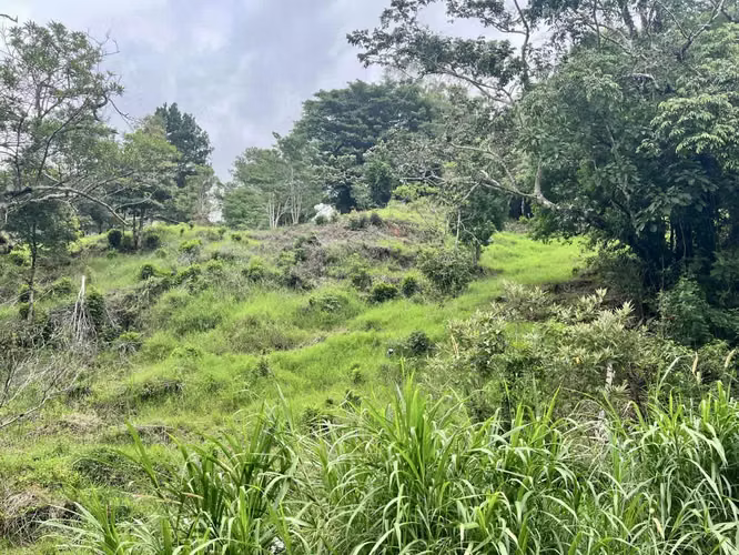 Land in Chiriqui, 5,237.85 mts2, in Boquete, Jaramillo