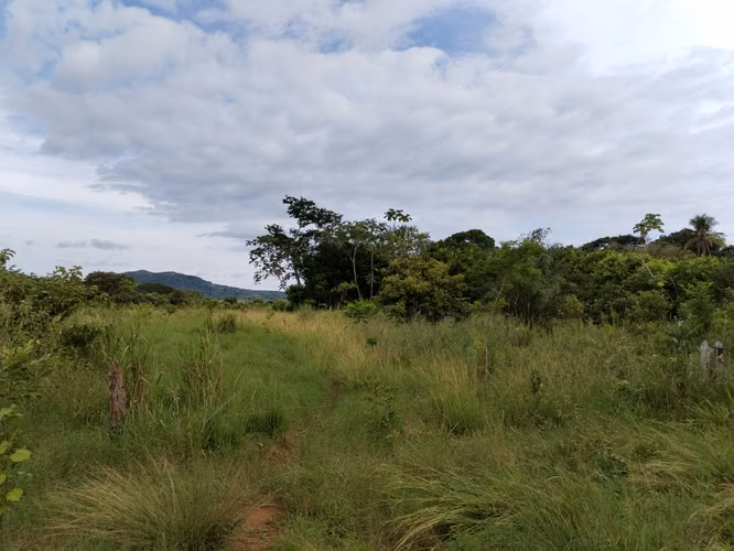 SE VENDE FINCA EN CHIRIQUI, SAN LORENZO,  VIA INTERAMERICANA