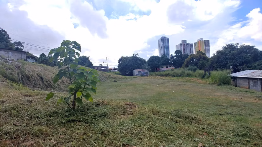 TERRENO EN VENTA | PUEBLO NUEVO
