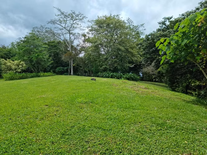 Venta Terreno en El Valle de Antón, El Roble vía al Macano, 10,000m2