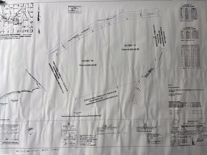 Venta Terreno en El Valle de Antón, El Roble vía al Macano, 10,000m2