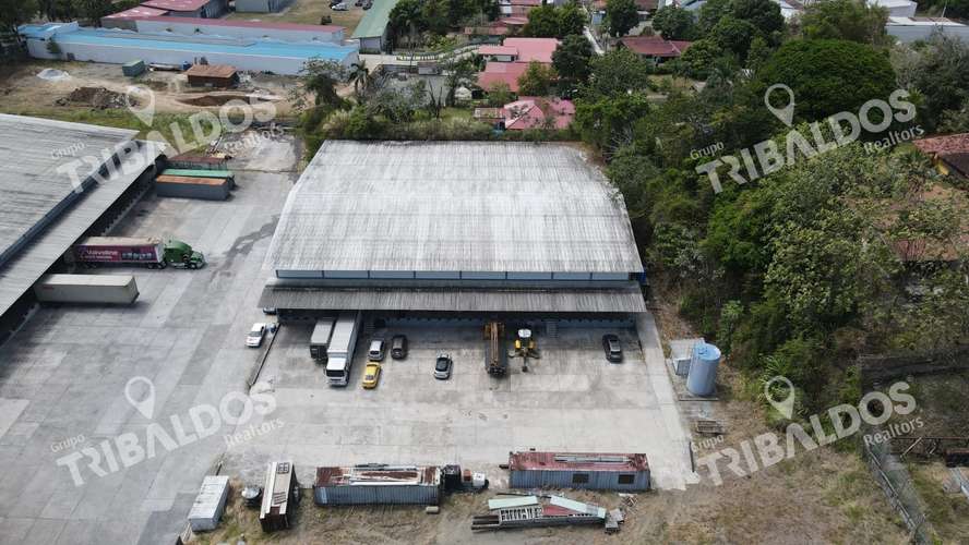 Venta de Galera en Milla 8