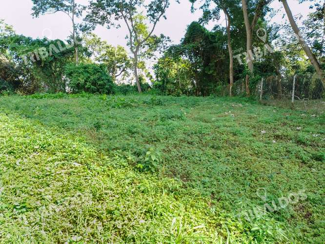 VENTA DE TERRENO EN LA CRESTA, BELLA VISTA - Imagen 2