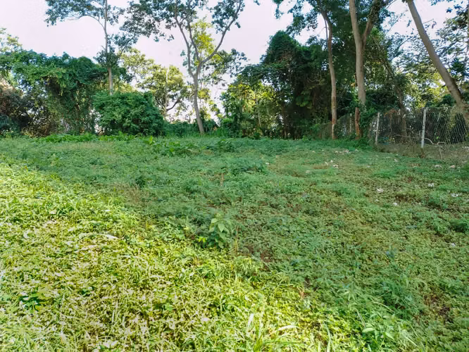 VENTA DE TERRENO EN LA CRESTA, BELLA VISTA - Imagen 2