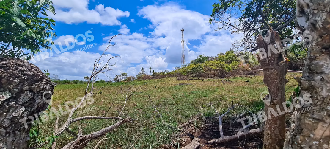 SE VENDE TERRENO EN LA MITRA, PEÑA BLANCA