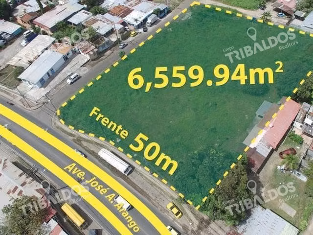 Terreno sobre la Ave. José A. Arango, Pedregal de 6,559m2 - Imagen 4