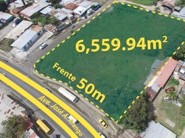 Terreno sobre la Ave. José A. Arango, Pedregal de 6,559m2