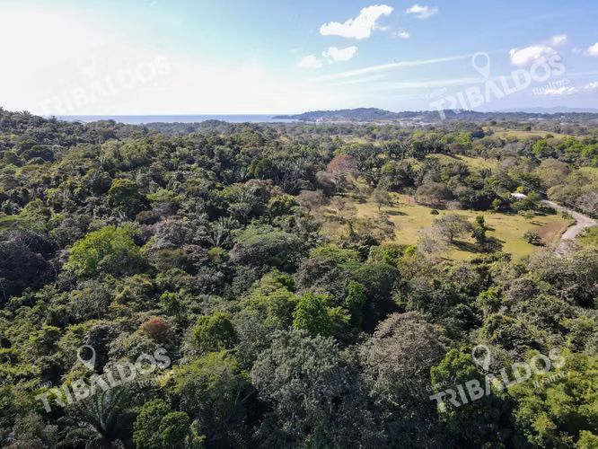 Venta de Terreno ubicado en Bique, Arraijan - Imagen 9
