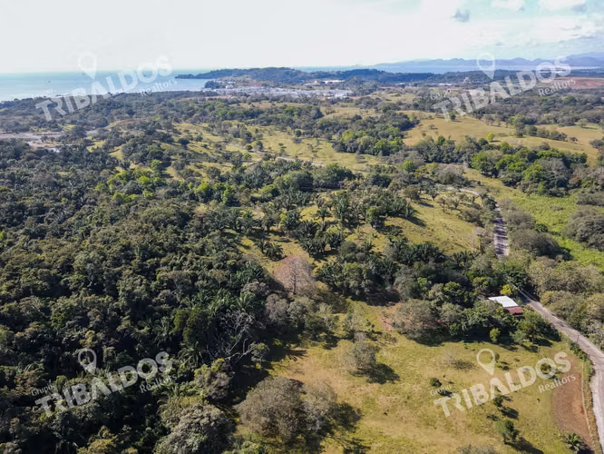 Venta de Terreno ubicado en Bique, Arraijan - Imagen 6