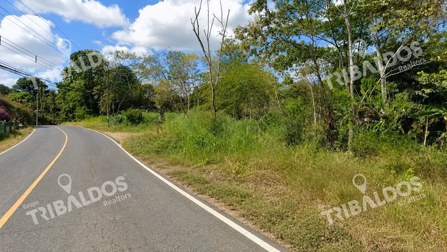 Venta de Terreno ubicado en Bique, Arraijan - Imagen 4
