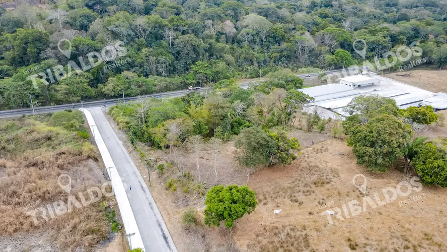 TERRENO EN PACORA