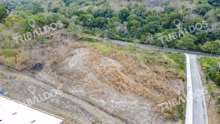 TERRENO EN PACORA