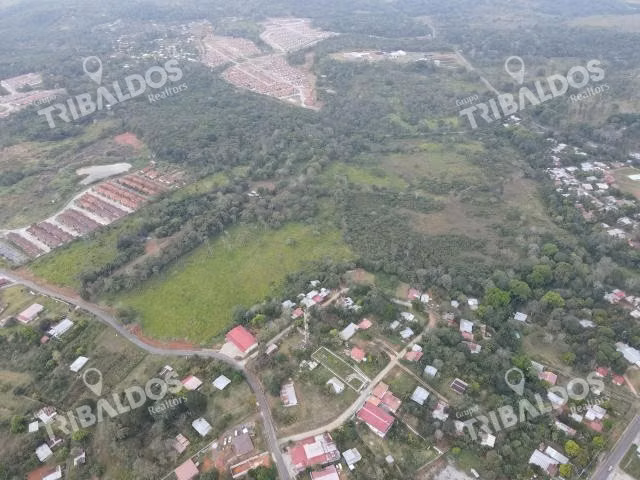 Venta de Terreno para desarrollo de casas en Arraijan