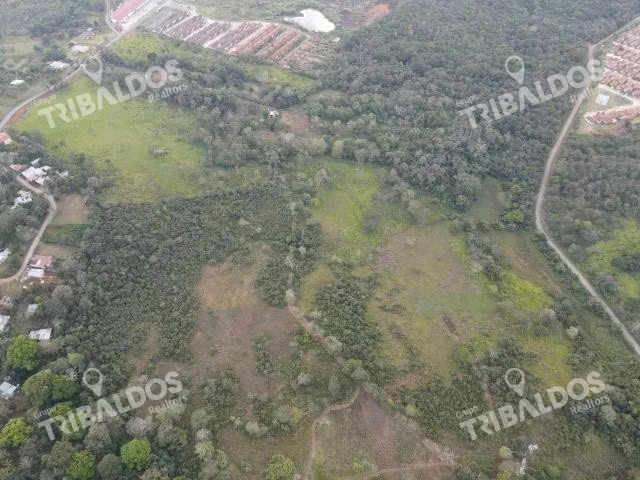Venta de Terreno para desarrollo de casas en Arraijan
