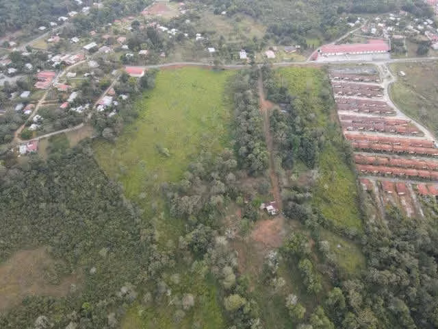 Venta de Terreno para desarrollo de casas en Arraijan