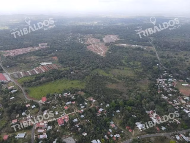 Venta de Terreno para desarrollo de casas en Arraijan