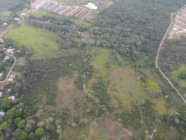 Venta de Terreno para desarrollo de casas en Arraijan
