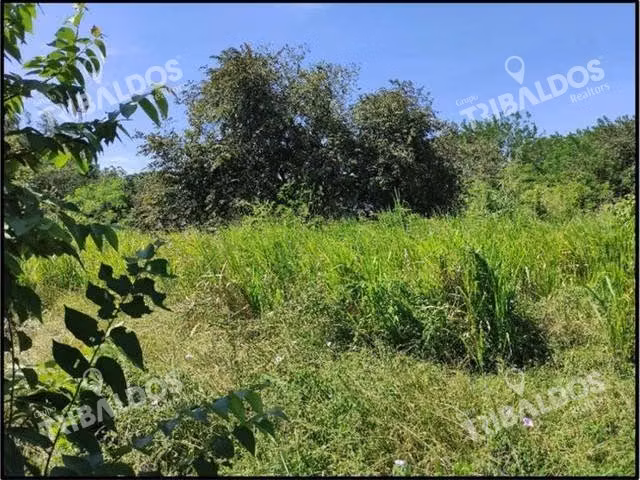 Se vende terreno frente a la Panamericana en Entrada del Decameron - Imagen 7