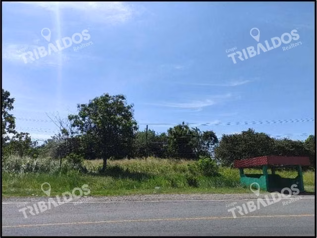 Se vende terreno frente a la Panamericana en Entrada del Decameron - Imagen 9