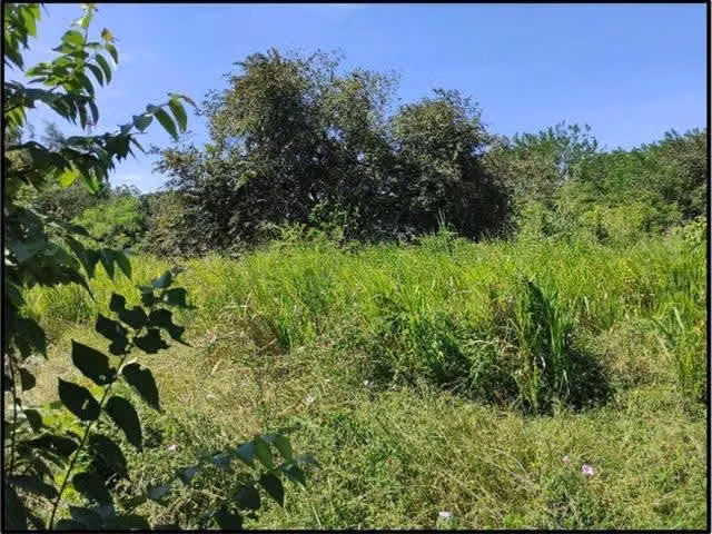 Se vende terreno frente a la Panamericana en Entrada del Decameron - Imagen 7
