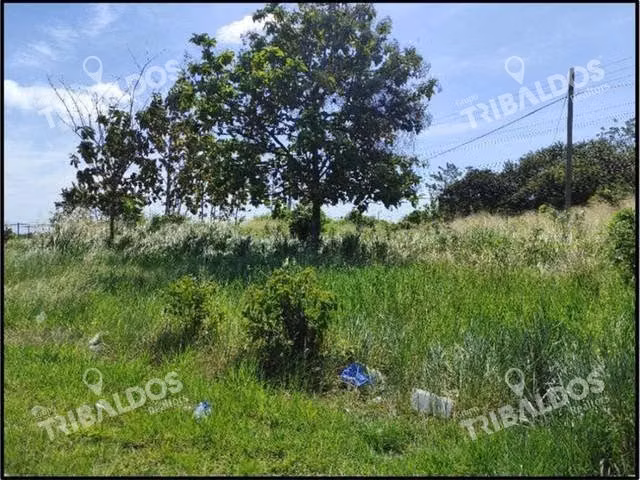 Se vende terreno frente a la Panamericana en Entrada del Decameron - Imagen 5