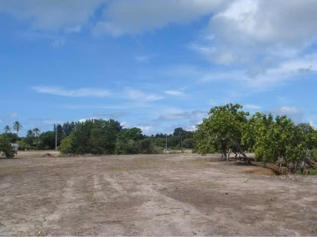 Venta de Terreno en Santa Clara con 90m frente a la Vía Interamericana