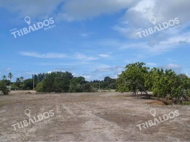 Venta de Terreno en Santa Clara con 90m frente a la Vía Interamericana - Imagen 5