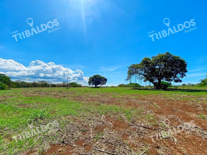Venta de Finca en Guararé