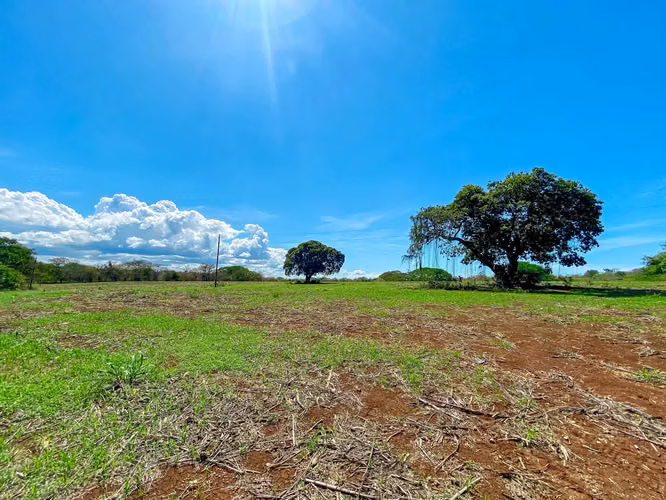 Venta de Finca en Guararé - Imagen 3